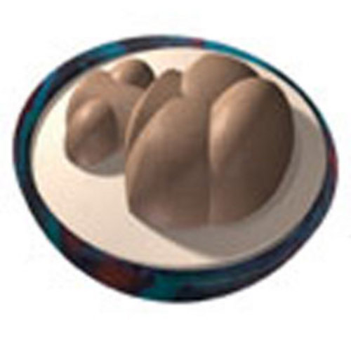 Ebonite Xxcel Factory Polished Bowling Balls FREE SHIPPING