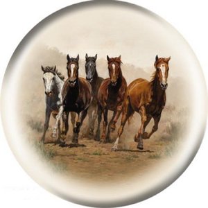 OTB Horses Break Away OTB Horses Break Away