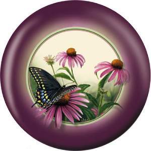 OTB Swallowtail Butterfly OTB Swallowtail Butterfly