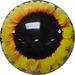 bowlingballcom Sunflower One Of A Kind 10 lb Only Bowling Balls