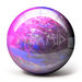 Pyramid Path Pink/Purple/Silver Back Pyramid Path Pink/Purple/Silver Back