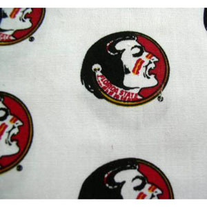 SewSavvy Florida State University Shoe Cover SewSavvy Florida State University Shoe Cover
