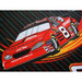 SewSavvy Dale Earnhardt Jr Shoe Cover Bowling Accessories