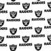 SewSavvy Oakland Raiders Shoe Cover White Bowling Accessories
