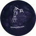 Visionary Executioner Purple Ice Bowling Balls