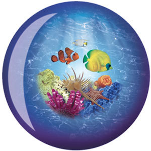 Viz-A-Ball Ocean Life Viz-A-Ball Ocean Life
