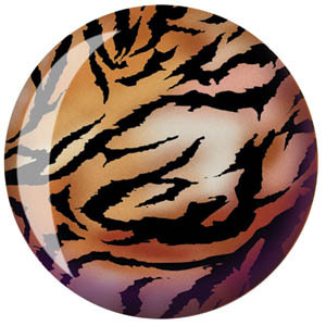 Viz-A-Ball Tiger