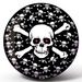 Viz A Ball Crazy Skull Bowling Balls